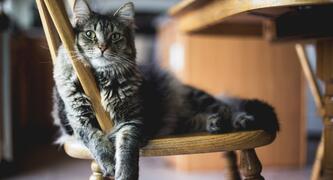 Photo by Kari Shea on https://unsplash.com