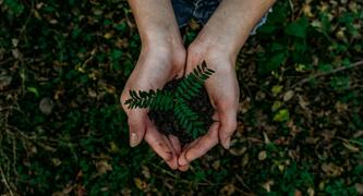 Photo by Noah Buscher on https://unsplash.com