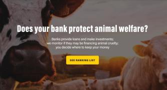 Banks For Animals campaign website snapshot