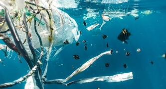 Ocean plastic - photo by Naja Bertolt Jensen on Unsplash
