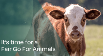 Together, we can transform the broken animal welfare system.