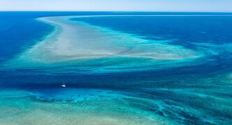 Tell Murray Watt and Anthony Albanese: Save Scott Reef
