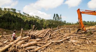 Defend Forest Defenders!