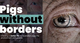 Pigs Without Borders petition