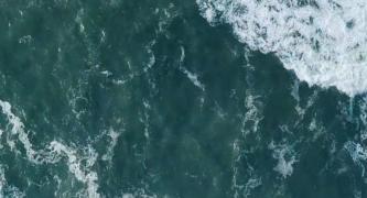 Protect our Ocean