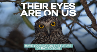 The End of Rat Poisons?