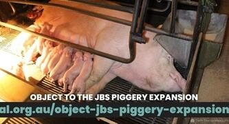 Object to the JBS Piggery Expansion