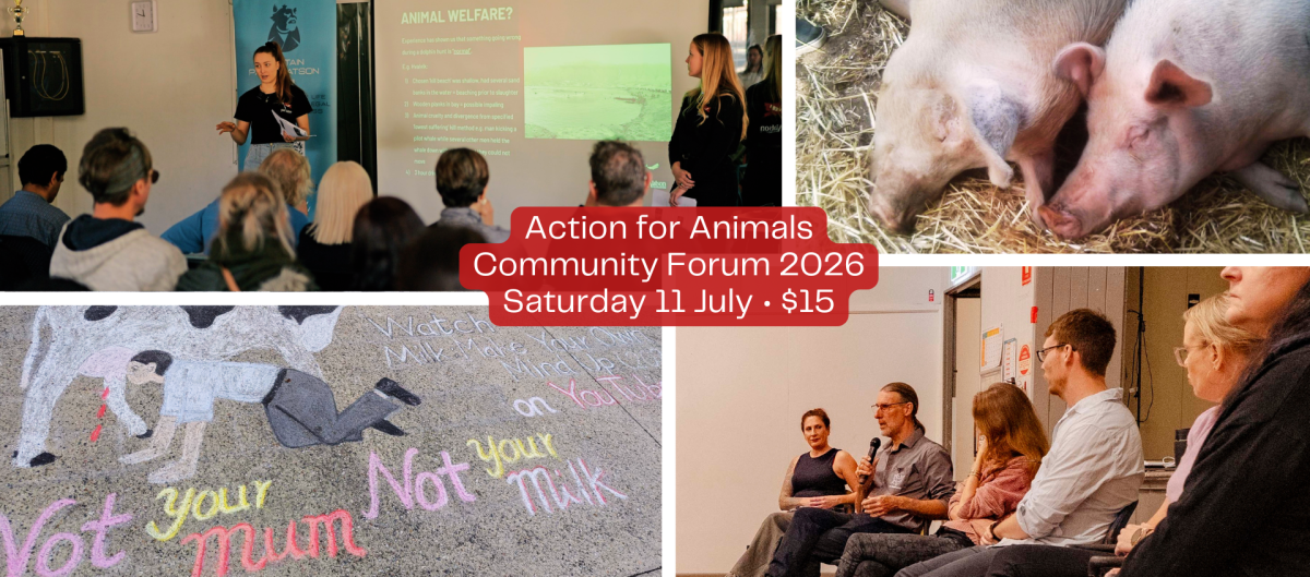 Forum 2026 homepage header