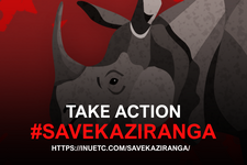 Save Kaziranga