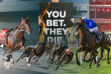 Full disclosure of Queensland Government’s racing industry reports withheld from public
