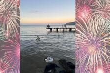 Stop Random Fireworks in Cairns - Protect Our Wildlife and Companion Animals