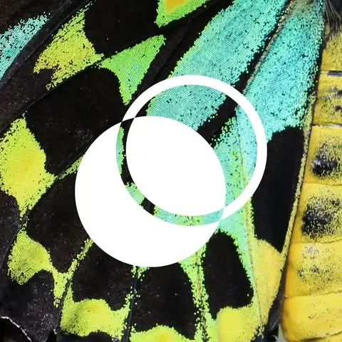 WePlanet Australia logo