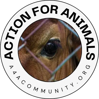 A4A Community logo