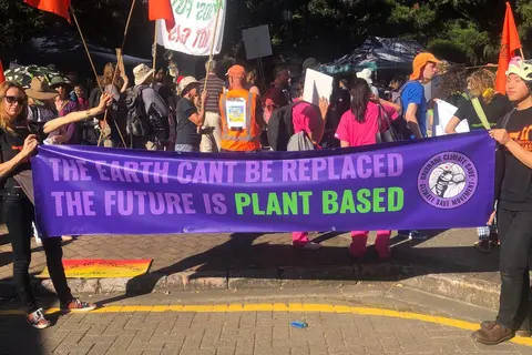 The future is plant based
