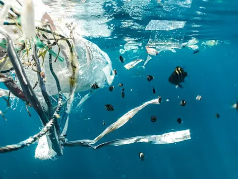 Ocean plastic - photo by Naja Bertolt Jensen on Unsplash