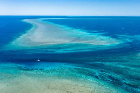Tell Murray Watt and Anthony Albanese: Save Scott Reef