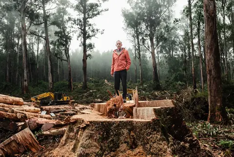 Native forest declaration - image from Bob Brown Foundation website