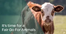 Together, we can transform the broken animal welfare system.