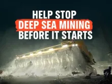 Help Stop Deep Sea Mining before it starts