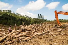 Defend Forest Defenders!