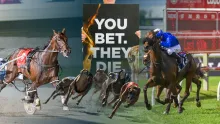 Full disclosure of Queensland Government’s racing industry reports withheld from public