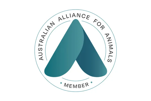 Help Australian Alliance for Animals call on Minister Leigh to modernise Australia’s charity laws to align with community values and strengthen animal welfare across Australia.