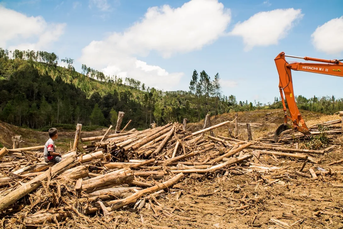 Defend Forest Defenders!
