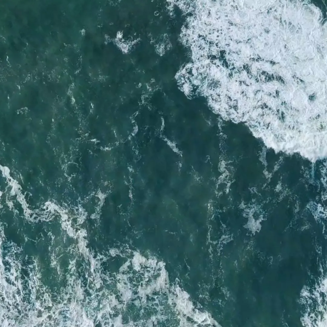 Protect our Ocean