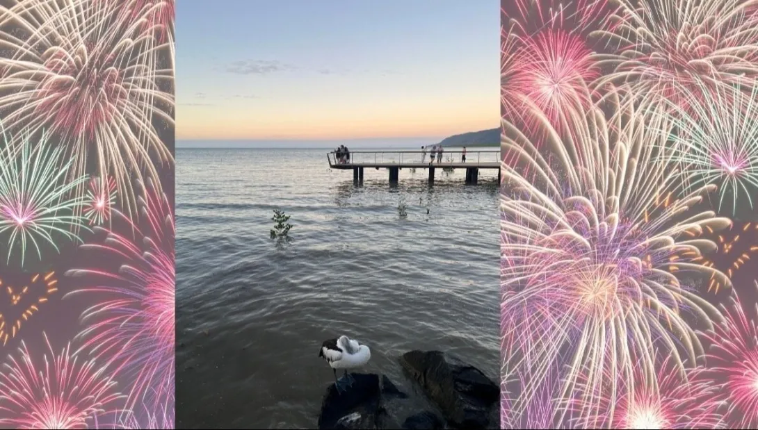 Stop Random Fireworks in Cairns - Protect Our Wildlife and Companion Animals